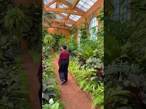 اسطورة الملك فؤاد الاول