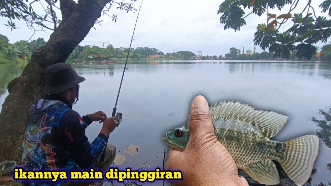 Ikannya lagi main dipinggiran