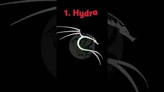Top 10 Ethical Hacking tools #cybersecurity #shorts #youtubeshorts