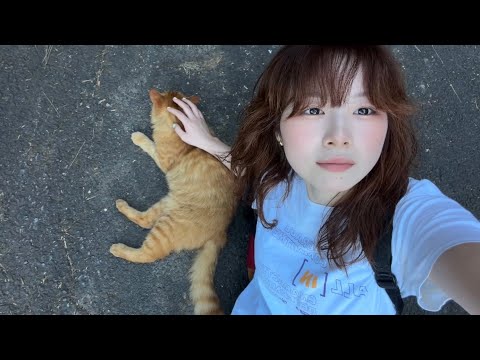 行き詰まったので猫島ひとり旅
