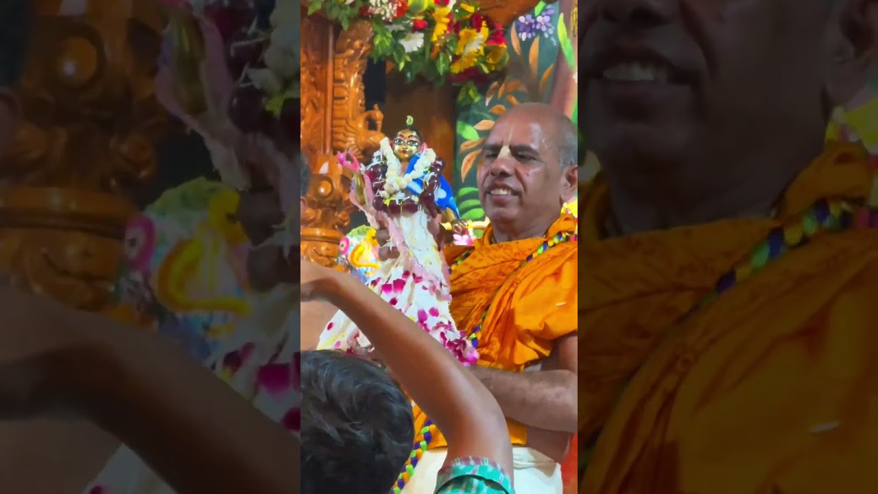 Radhashtami glimpse 🥹💗 #radhashtami #radheradhe #trending #shorts #iskcontemple #love #iskcon