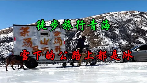 帶著兩狗徒步到根河，這段時間經常下雪，平均海拔都在4200米左右，所以路面的積雪都凍成冰了。 - 天天要聞