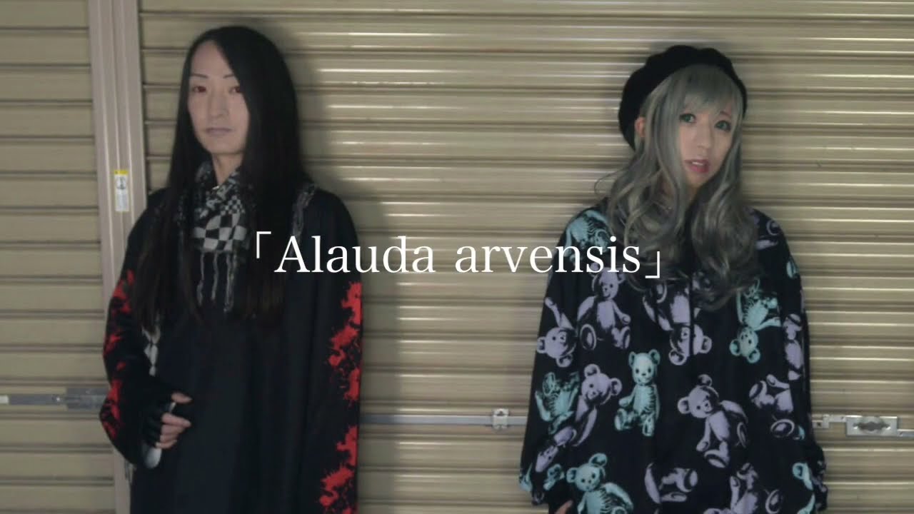 Watch Prism Color「Alauda arvensis」 on YouTube Watch Prism Color「Alauda arvensis」 on YouTube