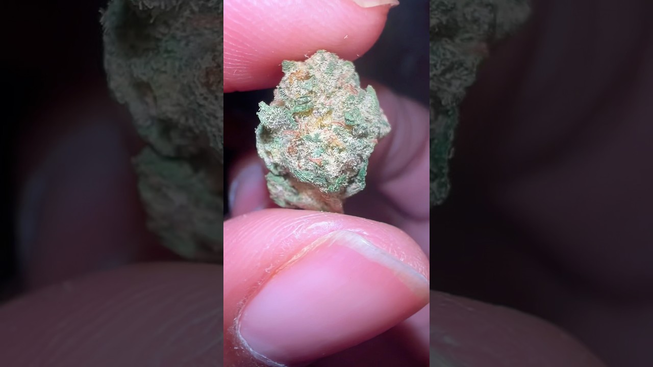 Sunset Sherbert  from BOOM 