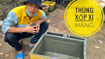 Làm Thùng Xốp Xi Măng Nuôi Cá Bảy Màu | Học Theo Trên Mạn.g  | Quốc Dân TV