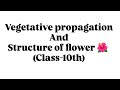 Vegetative propagation|Structure of flower|class 10#ncert 