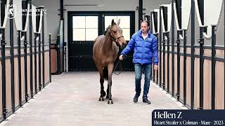 Hellen Z