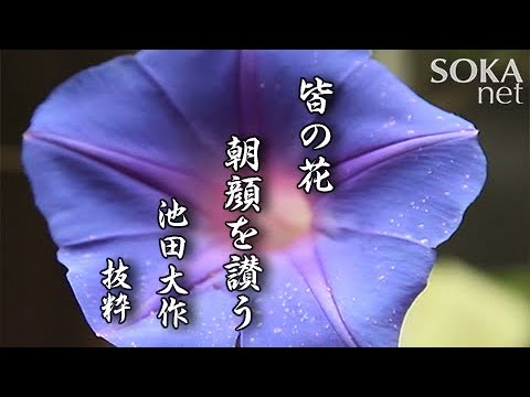 希望の譜 皆の花 朝顔を讃う 池田大作 創価学会公式 Youtube