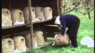 Heathland Beekeeping   1   Spring Work in a Heather Skep Apiary xvid