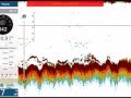 Tout sur la technologie rezboost prsente dans les sondeurs furuno