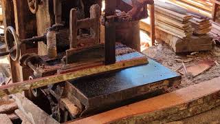 NEXT-GEN Sawmill Machinery Slicing Long Hardwood Like Soft Cake! screenshot 2