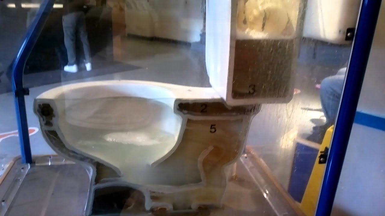 Pacific Science Center toilet demonstration YouTube