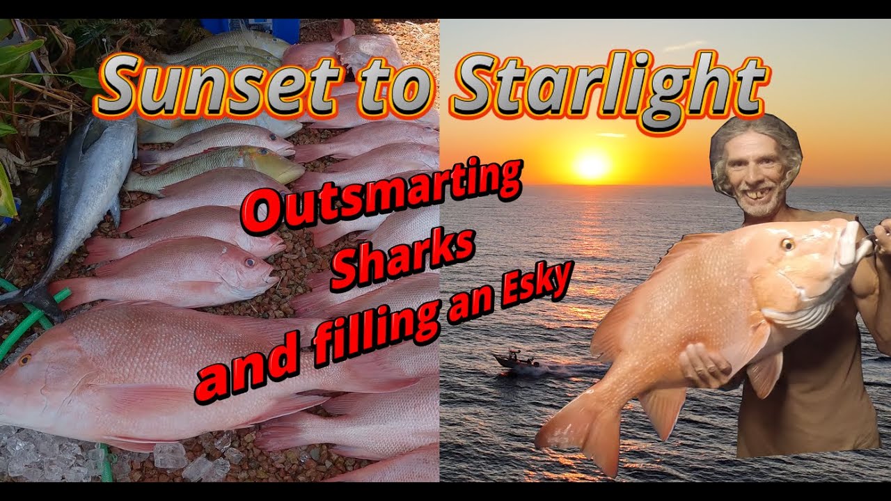 Sunset to Starlight. Outsmarting Sharks & filling the Esky