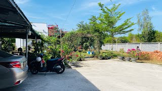 Nhà vườn 1000m2 cần rao bán gần biển Phước Hải, BRVT