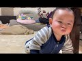 215Dayぶ〜しすぎて前方不注意な赤ちゃんBaby hitting his head