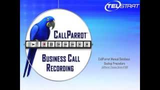 Telstrat Call Parrot Database Backup screenshot 5