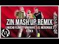 Zin mash up remix  dj rex remix  merengue  zumba  saltare