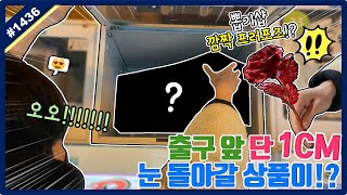 A prize that'll make your eyes pop just 1cm from the exit! A surprise proposal at the gacha shop...