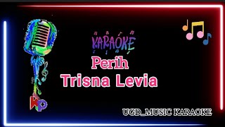 TRISNA LEVIA - PERIH | KARAOKE TANPA VOKAL