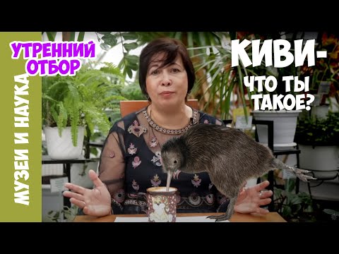 Видео: Являются ли самки киви токсичными для самцов?