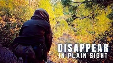 Escape and Evasion (E&E) Principles: Camouflage and Concealment