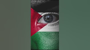 فلسطين حره//تلاوة خاشعة بصوت القارئ إسلام صبحي/سورة النصر