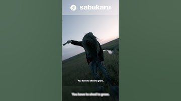 The Hidden Meaning Behind Shed Theory