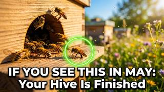 Wenn Ihre Bienen weniger Pollen einbringen, sind sie nicht faul – sie bereiten sich auf den Tod vor
