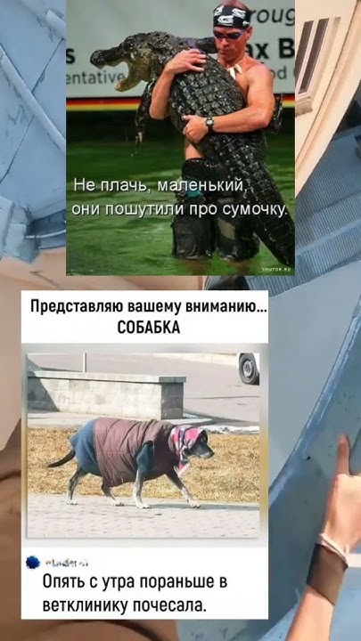#memes #мем #мемы #меме #меллстроймоменты #паркур #шутки #шортс - YouTube