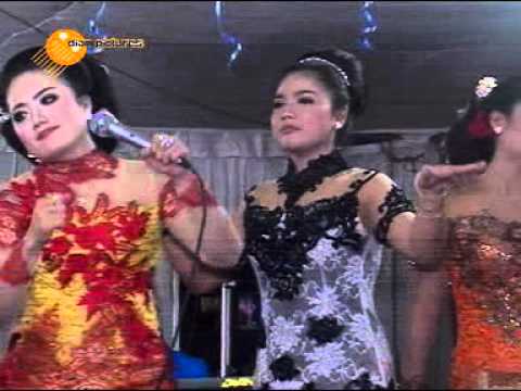 Ngelali - Cs. Supra nada Live In Kedungsoko, Bumiaji Gondang Sragen