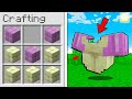 MINECRAFT MA LE STRUTTURE SONO ARMATURE!