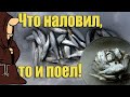 Рыбалка со льда в Марте, консервы из Уклейки в домашнем Автоклаве / ice fishing / autoclave canning