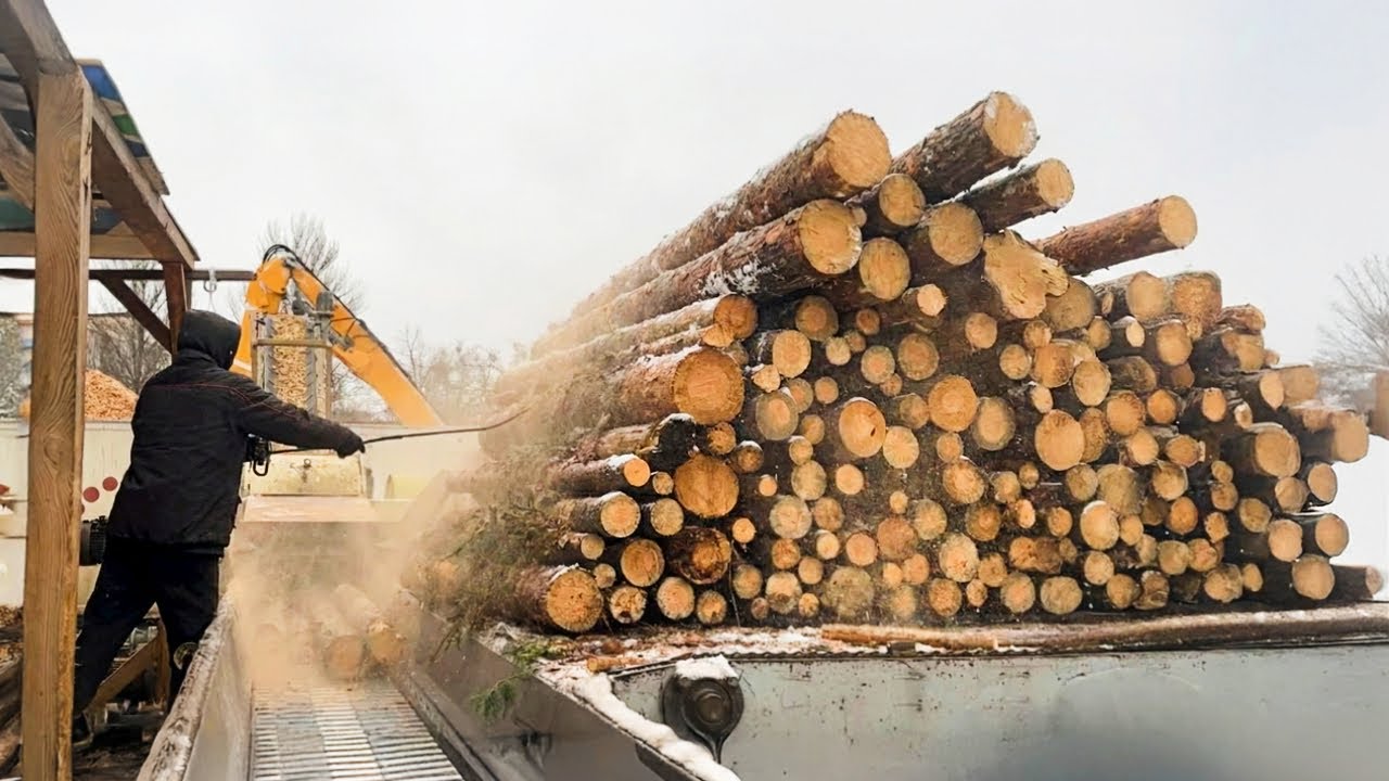 The Operator Who Processes Timber Like a Machine
