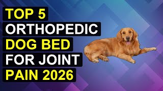 Top 5 Orthopedic Dog Bed For Joint Pain 2026 | Orthopedic Dog Bed For Hip And Joint Support