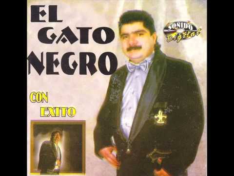 sirvan despacio el gato negro