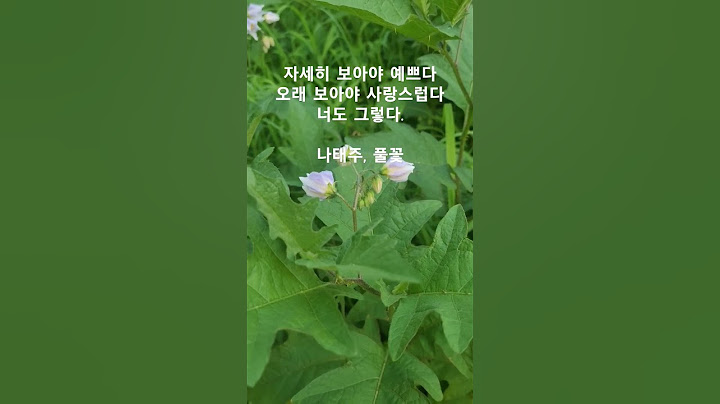 나태주 풀꽃, 자세히 보아야 예쁘다. 오래보아야 사랑스럽다. 너도 그렇다. 나이를 먹은건가 정말 예쁘다.