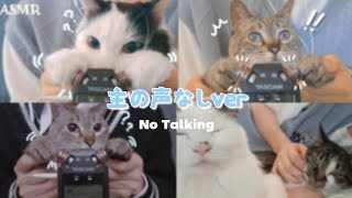 【ASMR】The makes you sleep Summary of Videos tickled by Cats【No Talking】