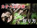 種まきから作るカナヘビのビバリウム