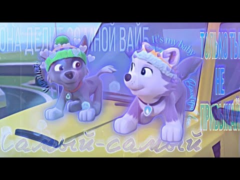 💜Рокки и Эверест💜(Она делит вайб-KOREL, NEEL)《Заказ для @Алая-ф9г 》💜Rocky x Everest💜