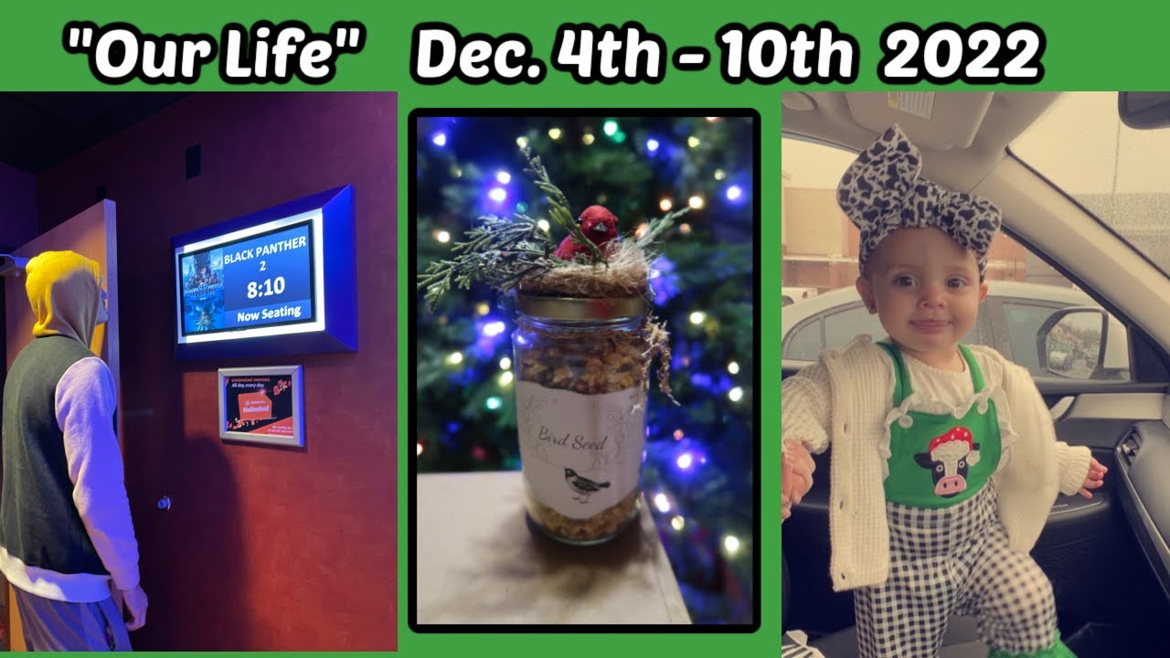 Making a Christmas gift Library Visit Bad Dog Comparing Cashews