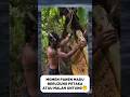 MOMEN PANEN MADU DENGAN RIBUAN LEBAH
