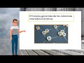 Ley 40/2015. Relaciones interadministrativas