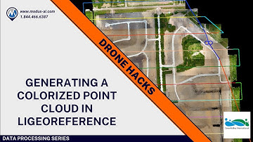 How to Generate a Colorized Point Cloud in LiGeoreference