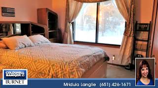 Homes for sale - 114 South Drive #D, Circle Pines, MN 55014