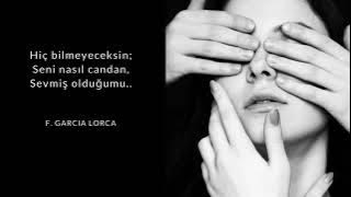 Pomplamoose - Lovefool