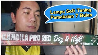 Kelebihan Dan Kekurangan Lampu Soft Taning Arwana Setelah 7 Bulan Pemakaian. screenshot 5