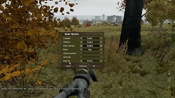 How to fix Debug Monitor in DayZ