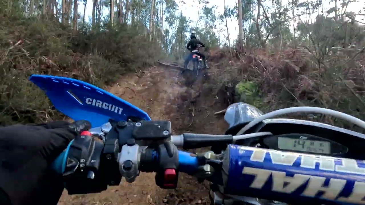 Guimaraes   Barrosas 14 02 2026