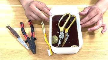 Millions of People Don’t Know This Secret: Sharpen Scissors Razor-Sharp in Just 5 Minutes