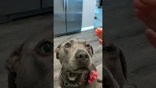 Lola Gets Scratchies